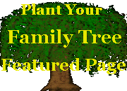 Featured Site